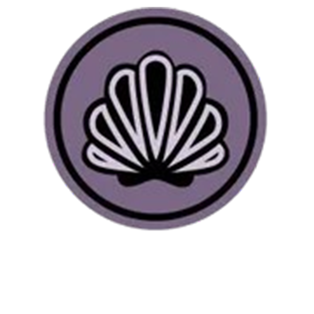 Shellharbour Plumbing logo