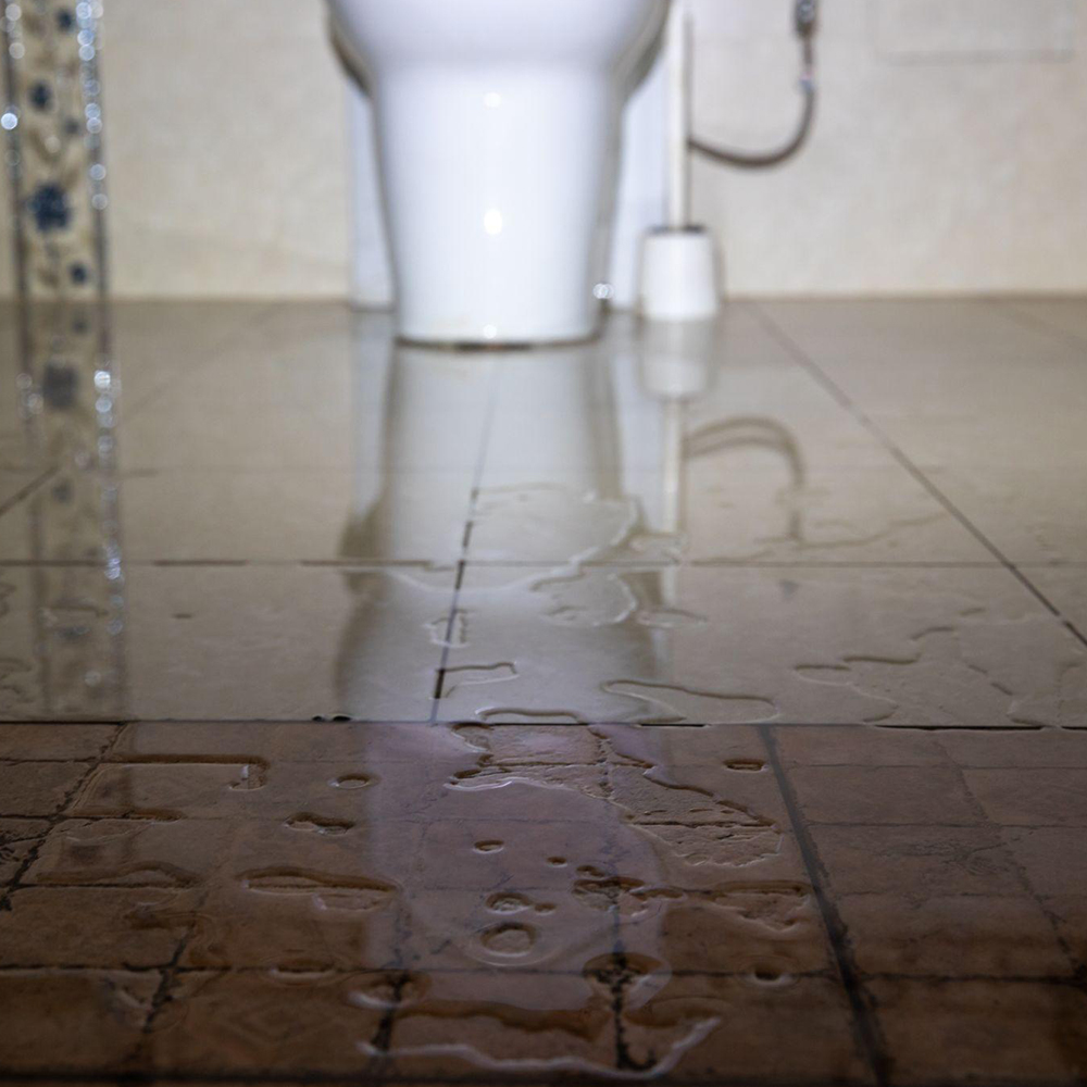 Overflowing Toilets in Shellharbour