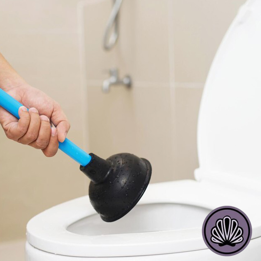 blocked toilet repair